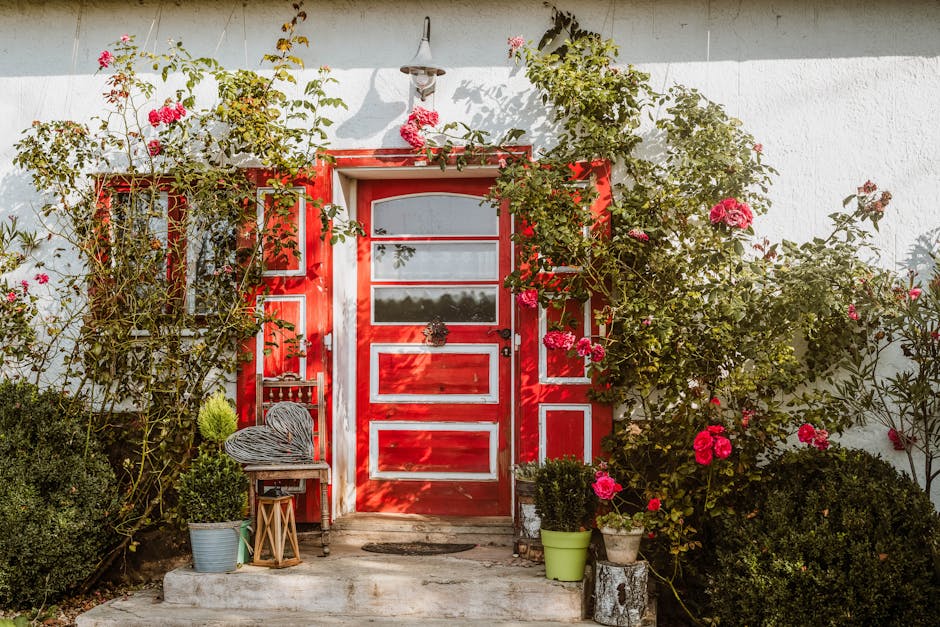 Beautiful front door replacement showcasing elegant entry doors